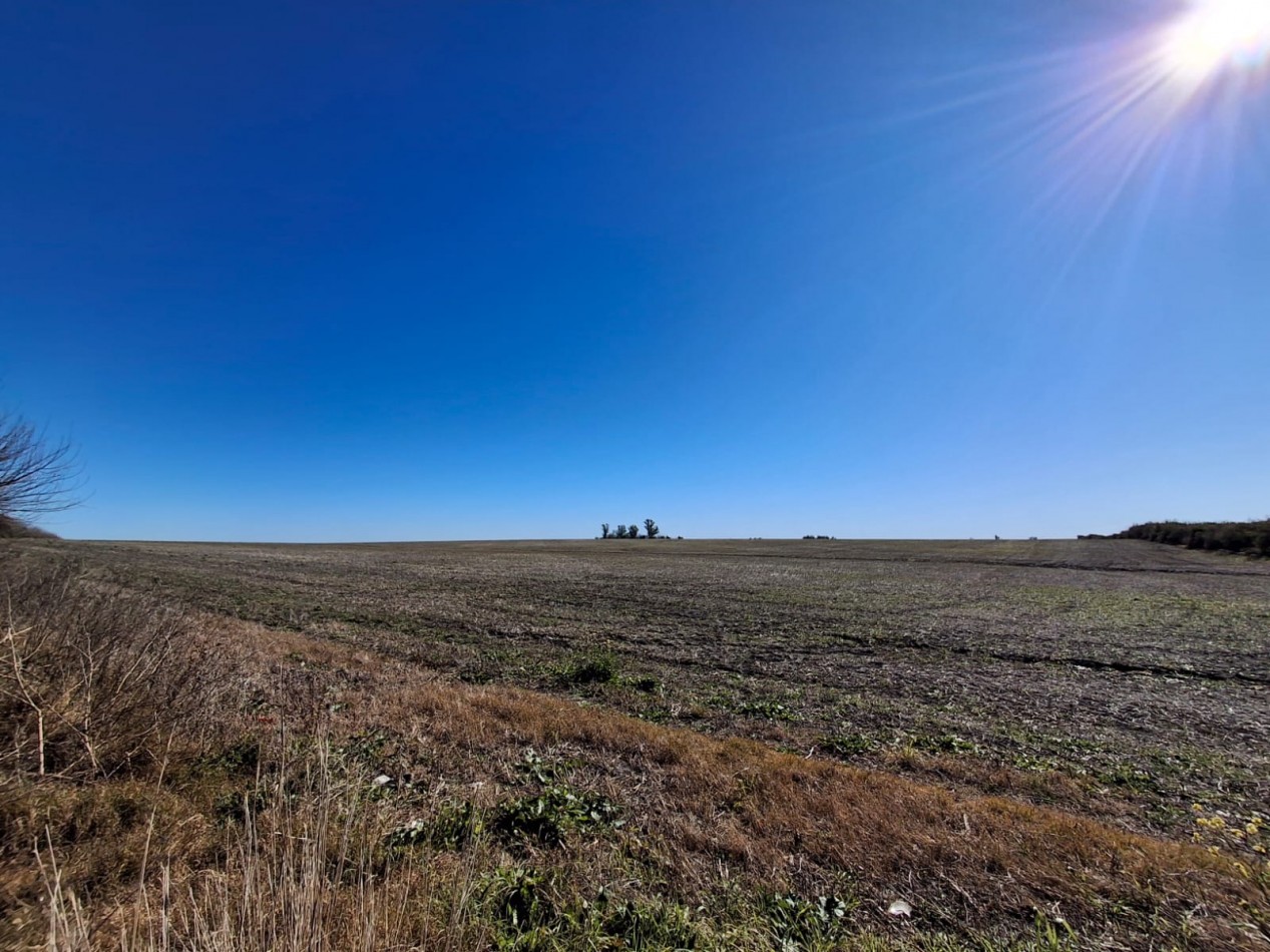 VENDE CHACRA EN ZONA "EL POTRERO".